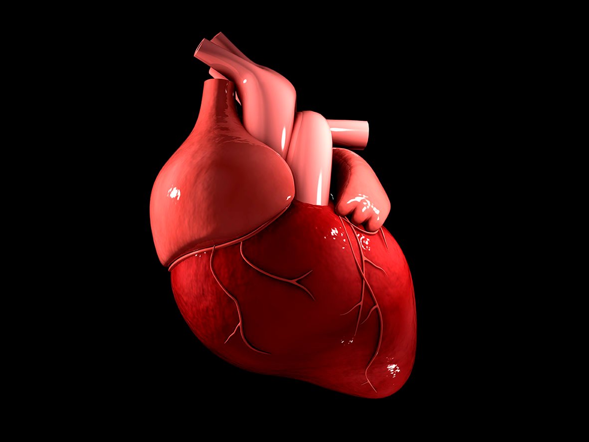 Bioelectronic Mesh Grows With Cardiac Tissues for Comprehensive