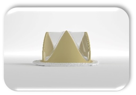 Foldax Tria Mitral Valve