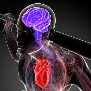 Heart Brain Getty