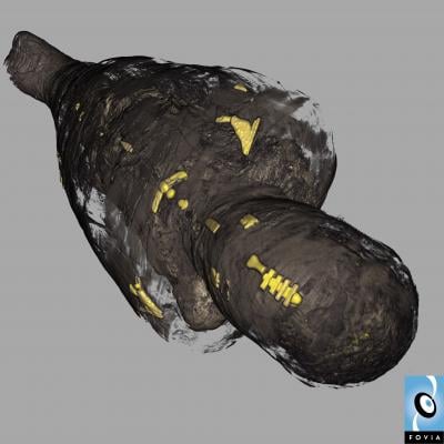 3-D reconstruction showing amulets wrapped inside a mummy as seen in a CT scan.