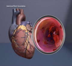 During the American Heart Association Basic Cardiovascular Sciences (BCVS) Scientific Sessions 2024 taking place in Chicago this week, two new, basic research studies in rodents (mice and rats) analyzed the impacts that alcohol may have on the heart.