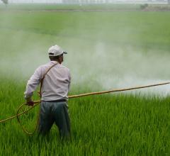 Pesticide Exposure May Increase Heart Disease and Stroke Risk