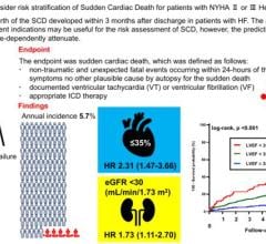 This study by Fujita Health University researchers revealed that kidney function, considered in terms of estimated glomerular filtration rate (eGFR), can be used as a predictor for SCD in patients with congestive heart failure.