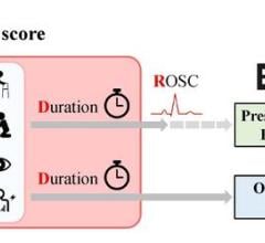 R-EDByUS score features variables using only prehospital resuscitation data