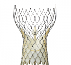 medtronic corevalve cath lab hybrid or heart valve repair study TCT 2013